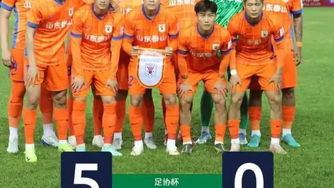 战报：凤凰对阵野猫，胜利背后的秘密指南